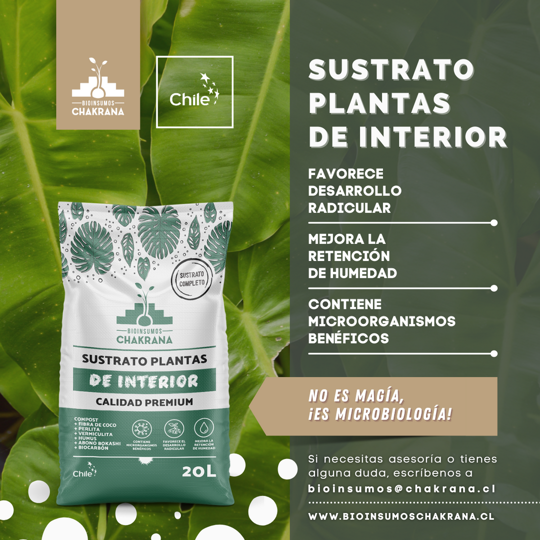 Pack Sustrato Plantas de Interior