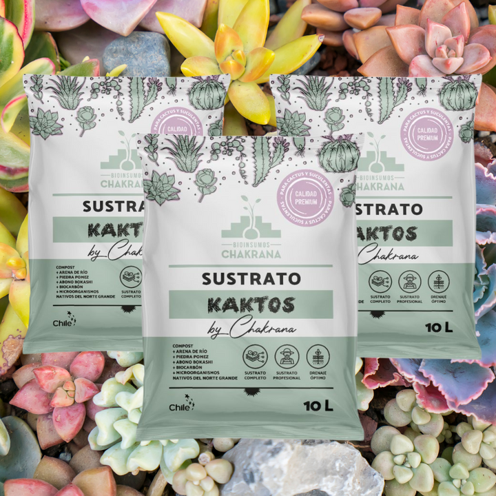 Pack Sustrato Kaktos