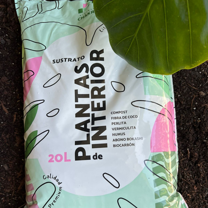 Pack Sustrato Plantas de Interior