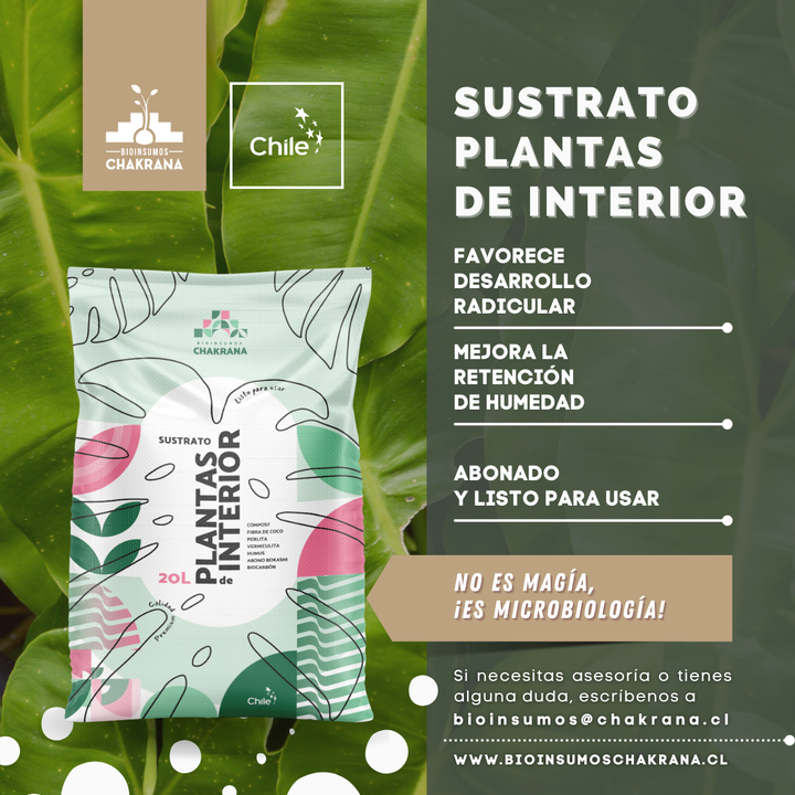 Sustrato Plantas de Interior