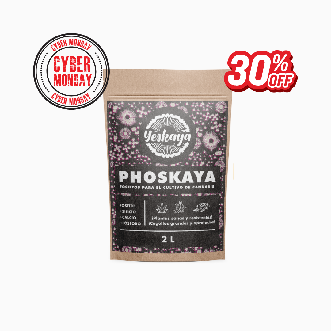 Phoskaya