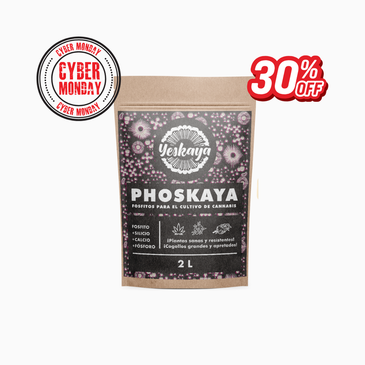 Phoskaya
