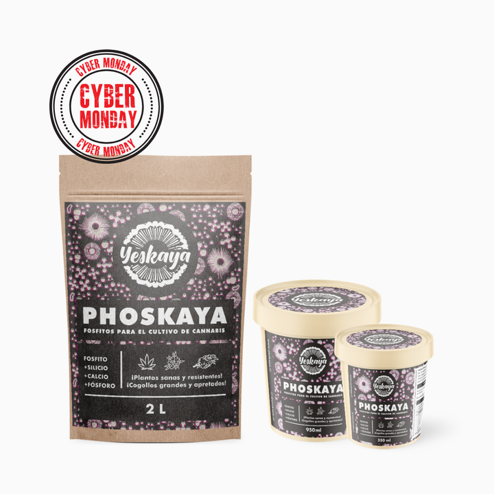 Phoskaya