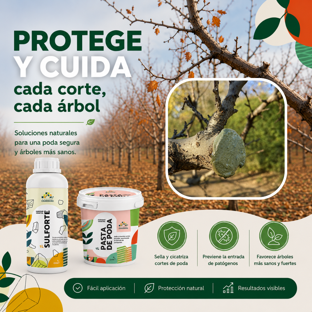 Pack Invierno Chakrana | Sulforte + Pasta Poda