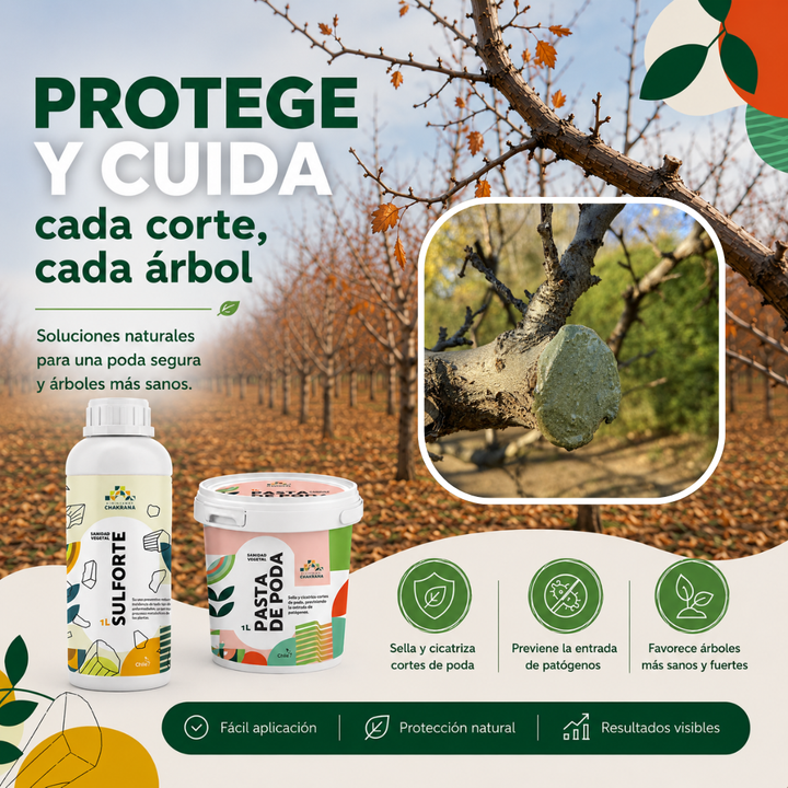 Pack Invierno Chakrana | Sulforte + Pasta Poda