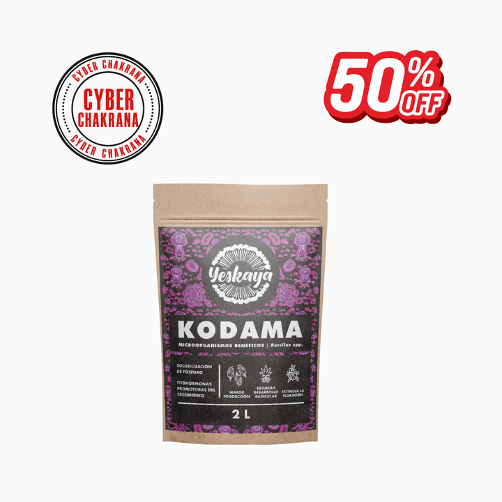 Kodama