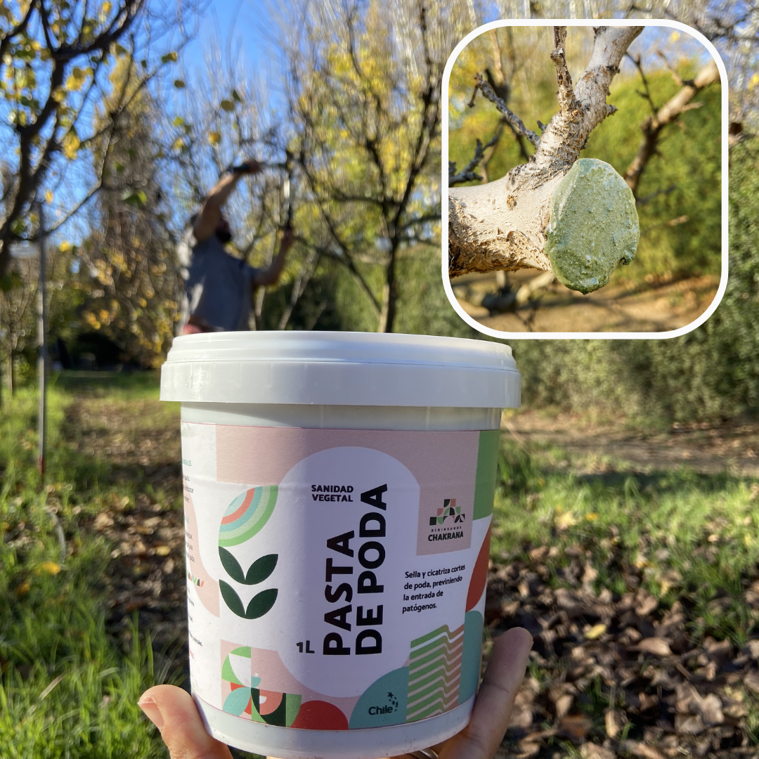 Pack Invierno Chakrana | Sulforte + Pasta Poda