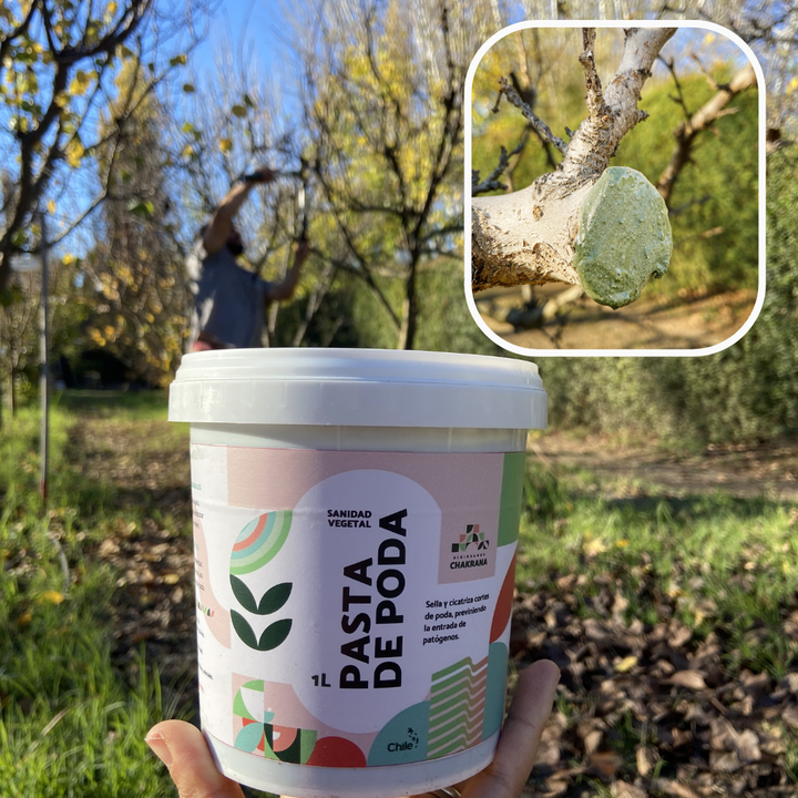 Pack Invierno Chakrana | Sulforte + Pasta Poda