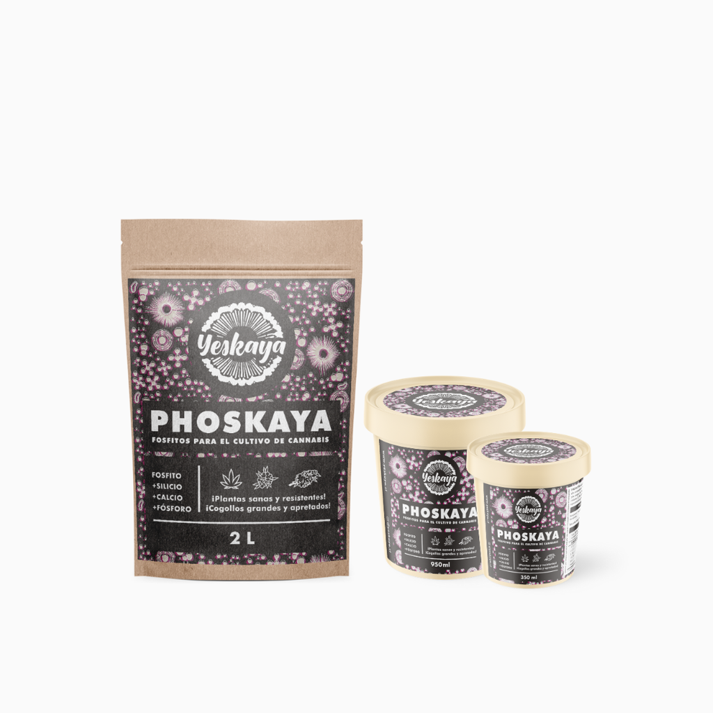 Phoskaya