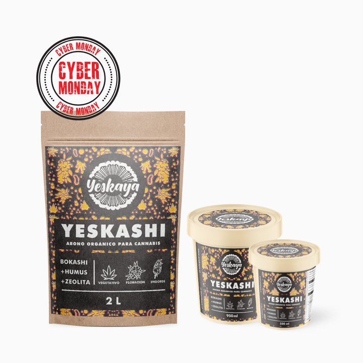 Yeskashi