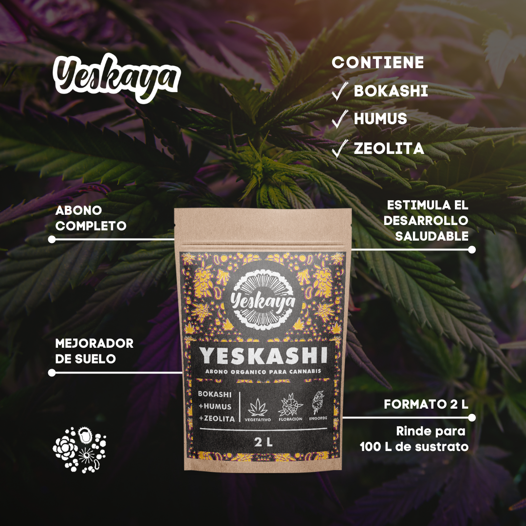 Pack Full Yeskashi